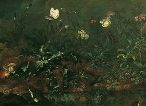 Grass Piece with Thistle, Frogs, and Dragonfly
