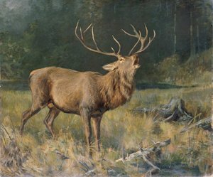 Rutting Deer