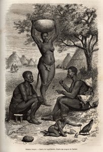 Types and Activities of Women Bongos