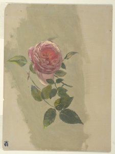 A Rose Bough