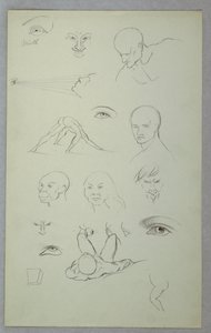 Anatomical Studies by Frederic Edwin Church