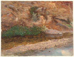 Bank of a Stream