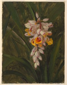 Cardamum by Frederic Edwin Church