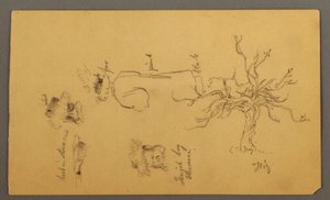 Costume Design of a Jewish Boy Described as a Pharisee, a Fig Tree, and Heads, Palestine
