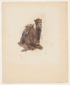 Crouching Dromedary by Frederic Edwin Church