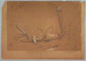 A Broken dead tree, 1855-65 by Frederic Edwin Church