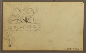 A Hut on Posts, Guayaquil, Ecuador, May 1857 by Frederic Edwin Church