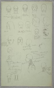 Anatomical Studies, 1865–70 by Frederic Edwin Church