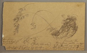 Bamboo-like Twigs, possibly 1865–66 by Frederic Edwin Church
