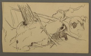 Base of Tree, Boulder, possibly 1877 by Frederic Edwin Church