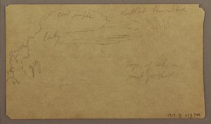 Botanical Sketches; Verso: Clouds, July 1865