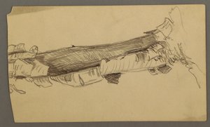 Bottom Section of a Dead Tree Trunk, 1877 by Frederic Edwin Church