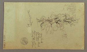 Chimneys, Waterfalls, Figure, etc., July possibly 1868 by Frederic Edwin Church