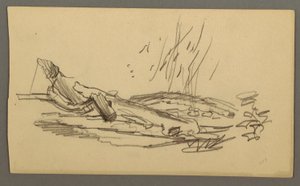Fallen tree, possibly 1877 by Frederic Edwin Church