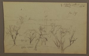 Hills, Trees, Low Sun, 1867 by Frederic Edwin Church