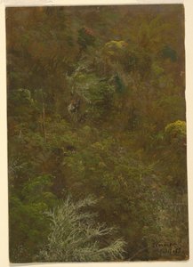 Hillside Covered with Bushes and Trees, July 1865 by Frederic Edwin Church