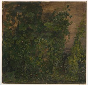 Drawing, Jungle Vegetation, 1865