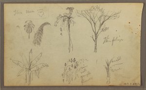 Landscape, Guayaquil, Ecuador, May 21, 1857