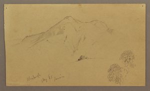 Landscape, plants, Bloxburgh, August 1865 by Frederic Edwin Church