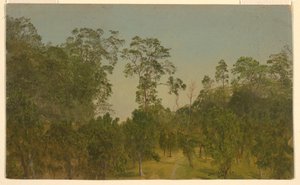 Landscapes, July 1865