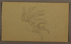 Lily Plant, 1865 by Frederic Edwin Church