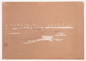 Marshy Landscape near Millinocket, September 20, 1878 by Frederic Edwin Church