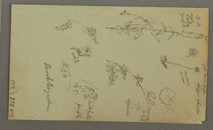Mountain Study, possibly 1868