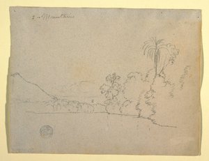 Mountainous Bank of a Bay, South America, 1853