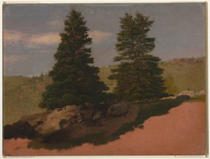 New England Landscape (Two Pine Trees), 1850 by Frederic Edwin Church