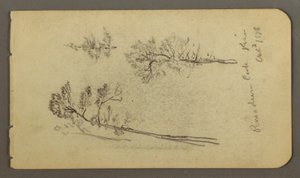 Pine studies, 1878 by Frederic Edwin Church