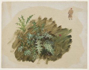 Plant Studies, 1865 by Frederic Edwin Church