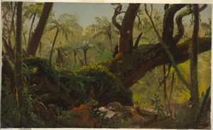 Rain Forest, Jamaica, West Indies, April–August 1865 by Frederic Edwin Church