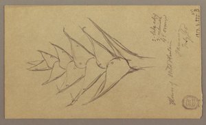 Seascape, April 29, 1865