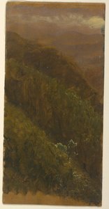Steep Hillside, July 1865 by Frederic Edwin Church