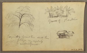 Street Corner in Guayaquil, Ecuador; Verso: Botanical Sketches, House, Ecuador or Colombia, 1857 by Frederic Edwin Church