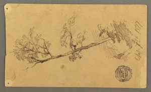 Tree, 1877 by Frederic Edwin Church