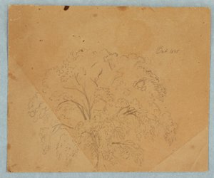 Tree; Verso: View of a Church, Two English Women of 1636, Study of a Horse, October 1845 by Frederic Edwin Church
