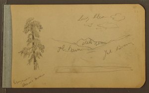 Tree, Mountains, 1889 by Frederic Edwin Church
