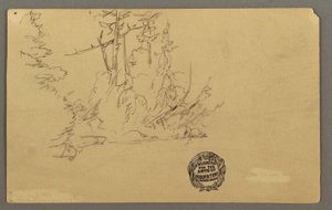 Wooded bank, possibly 1877