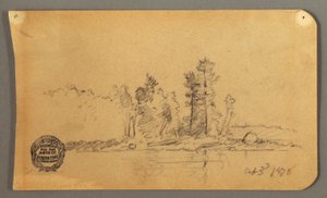 Wooded Shore, 1878
