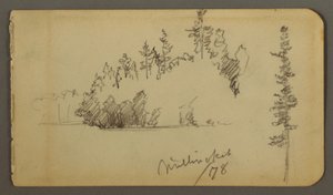 Wooded Shore, Tree Study, 1878