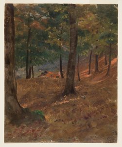 Woodland Scene, 1870–80 by Frederic Edwin Church