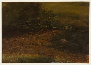 Woodland Stream in the Catskills, September 1848 by Frederic Edwin Church