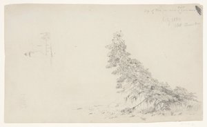 Evergreen Tree Near the Shore with a Detail of the Lighthouse and a House, Mount Desert, Maine by Frederic Edwin Church
