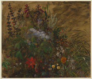 Flowers in Jamaica