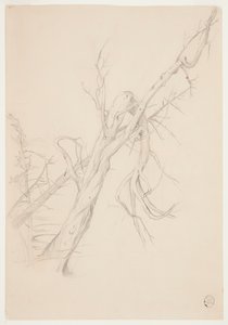 Gnarled Dead Tree by Frederic Edwin Church
