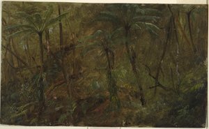 In the Woods, Jamaica
