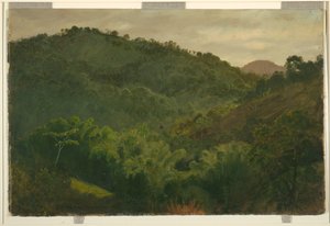 Landscape from Jamaica