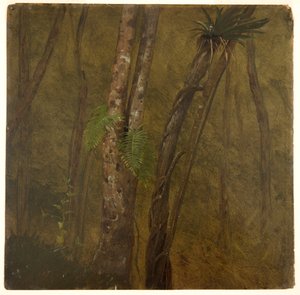 Landscape in Jamaica