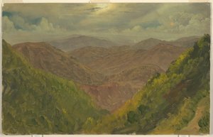 Landscape in Jamaica